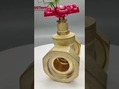 Płytkowy zawór bramowy z czerwonym żelaznym uchwytem wysokiego przepływu 1/2 