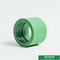 20mm zielony plastikowy łącznik rurowy Ppr równy łącznik do domu z OEM ODM
