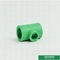 Odlewanie łączników rurowych Ppr Kolor zielony, zatwierdzenie Iso9001 Ce Trójnik redukcyjny Ppr